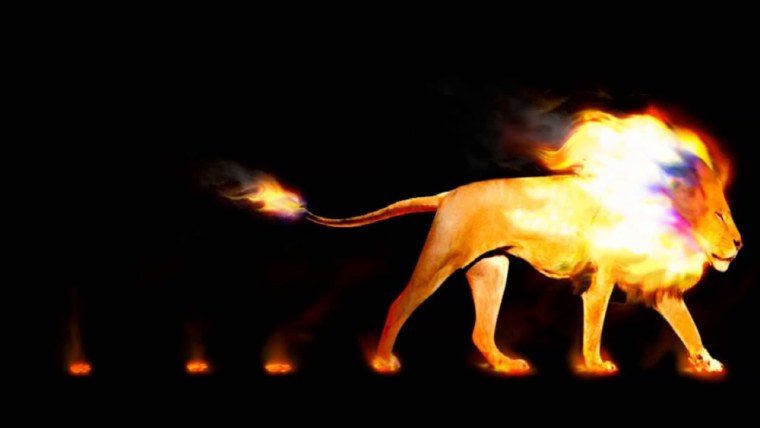 Животные обозначающие огонь