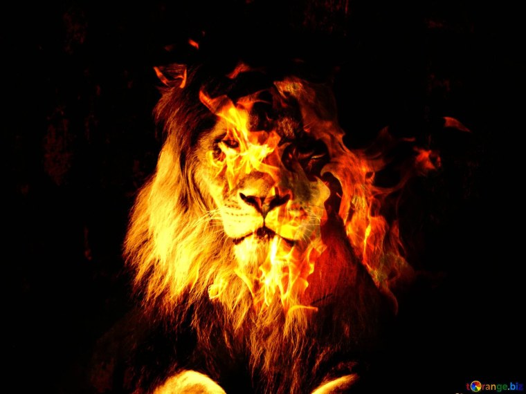 Голова Льва