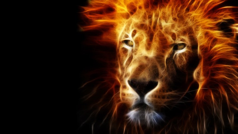 Обои на рабочий стол Лев