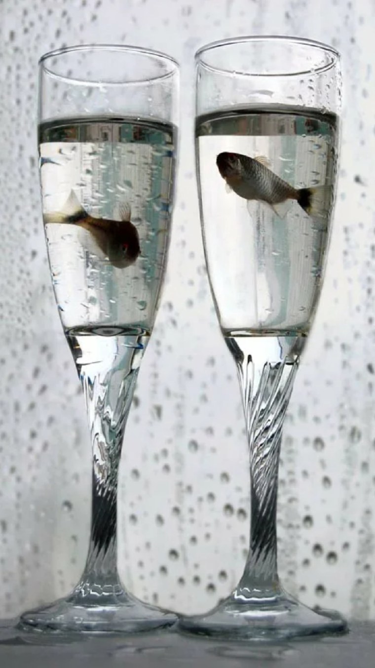 Ссора на черном фоне