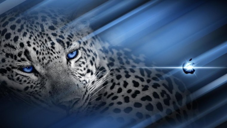 Леопард с голубыми глазами