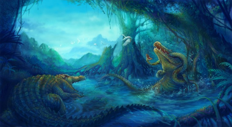 Аллигатор джунгли фон