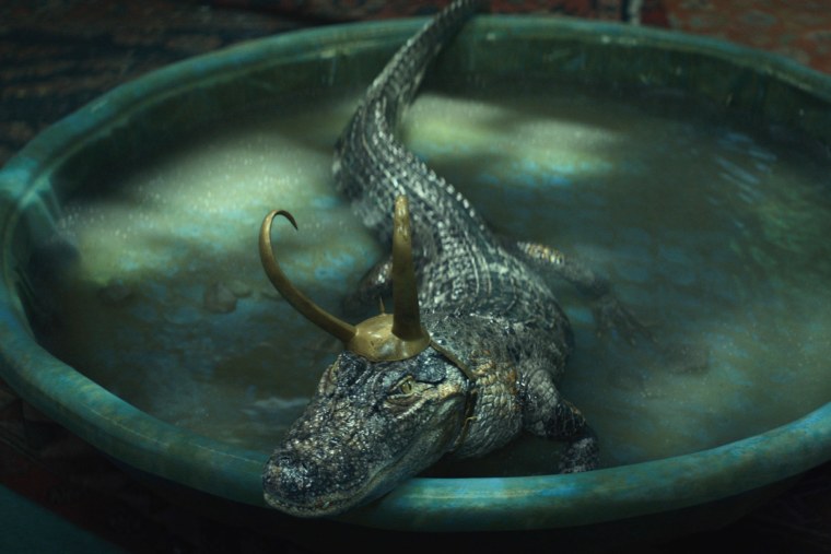 Локи крокодил Марвел