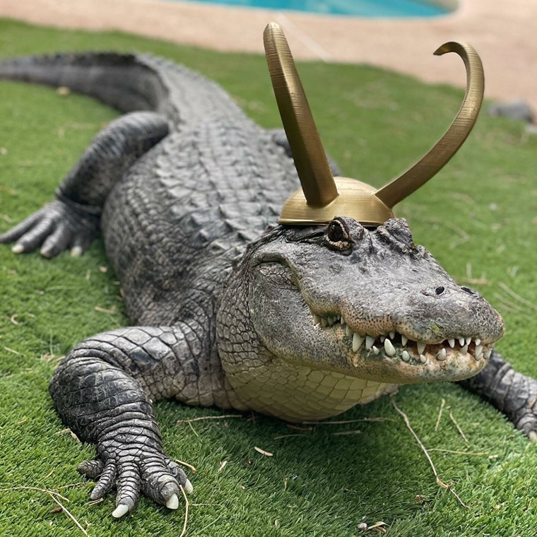 Loki Alligator