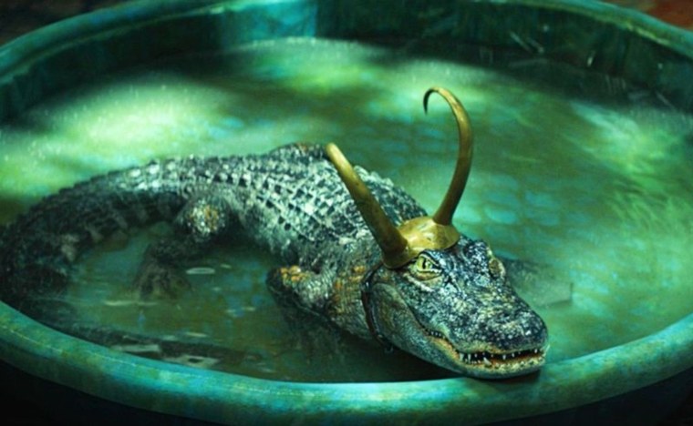 Локи сериал крокодил