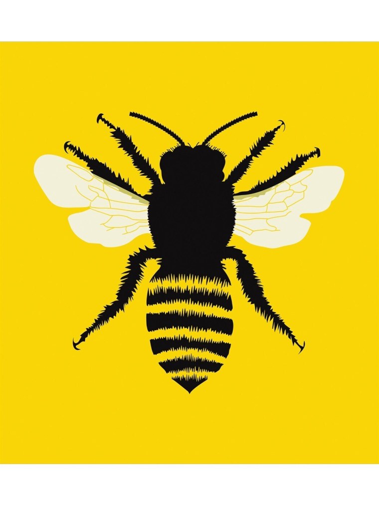 Темная пчела с кривыми усами