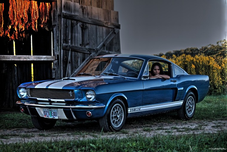 Shelby gt500 1966