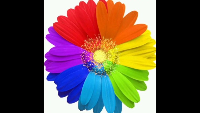 Радужный цветок инди КИД