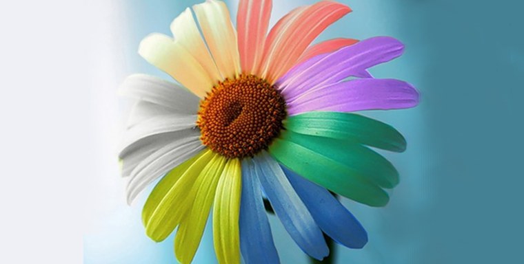 Рунический став Цветик семицветик