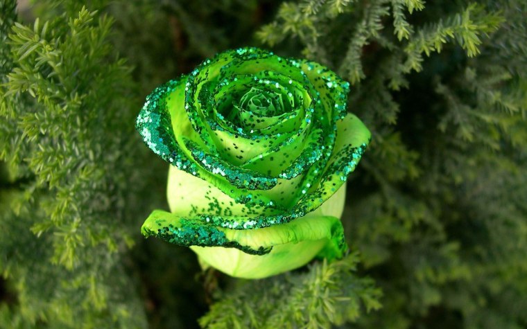 Брюнетка с ромашками без лица