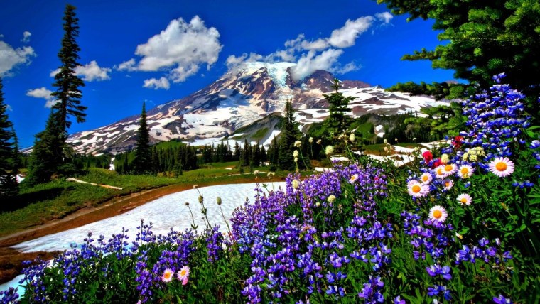 Швеция Альпийские Луга