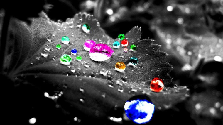 Вода и зелень