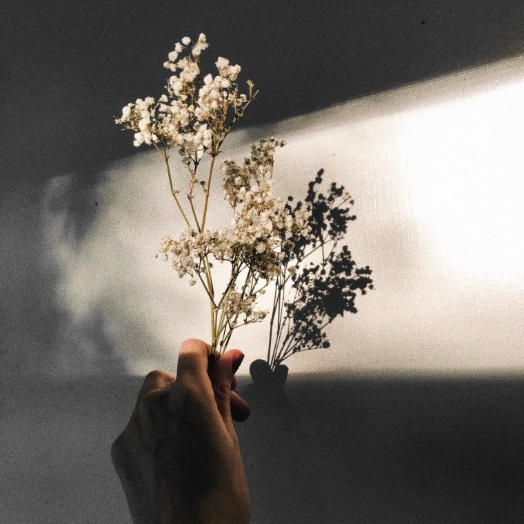 Горизонтальная Эстетика