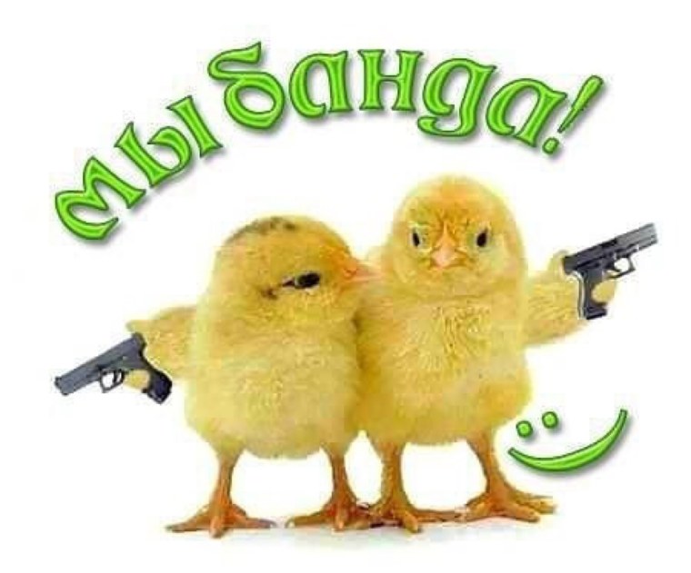 Смешной цыпленок