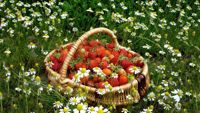 Красивое лето