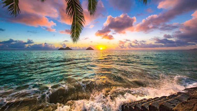 Тетрадь 96л клетка а4, на гребне Hatber "океан" 96т4в3гр