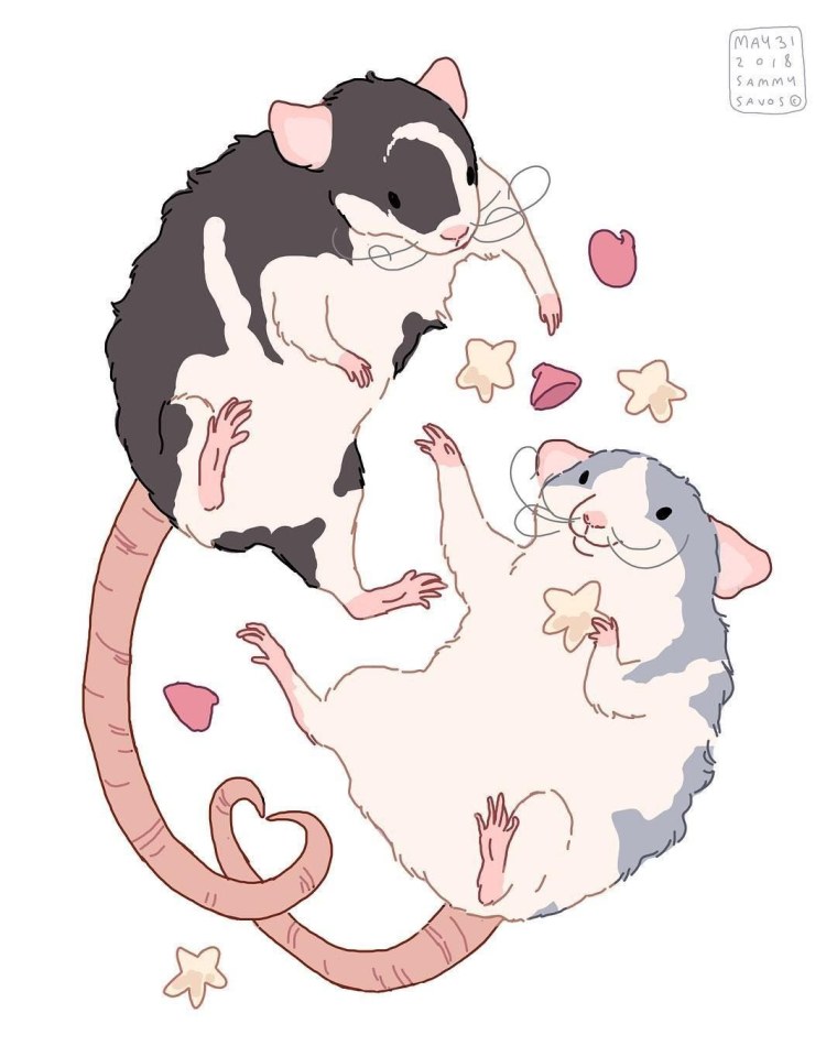 Две смешные крысы