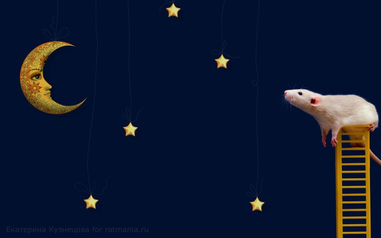 Рататуй Ratatouille 2007