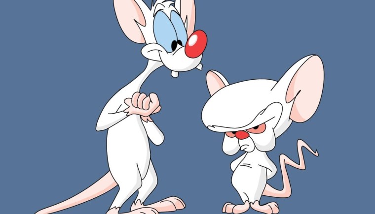 Крыса Блейз