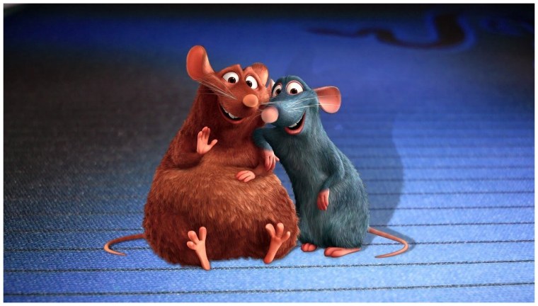 Красивые крысы