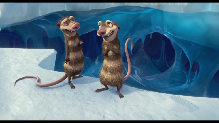 Крыски подружки