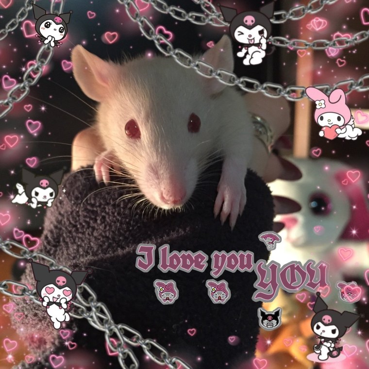 Прикольный Минимализм