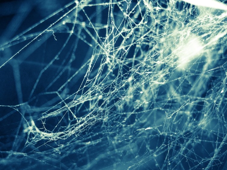 Нейронная паутина