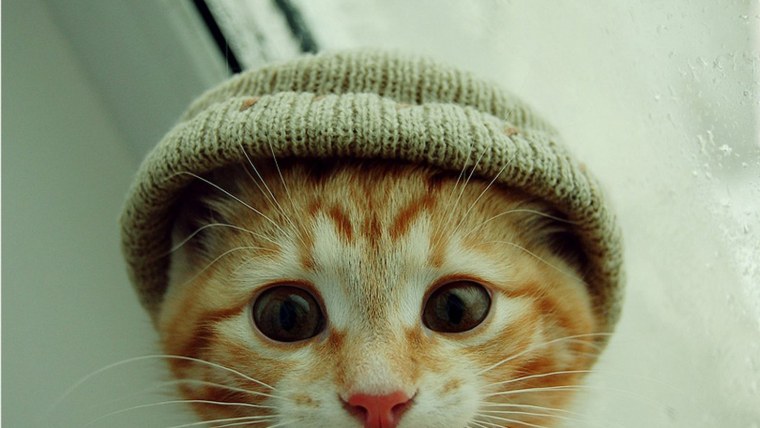 Аватарки для ватсапа машины