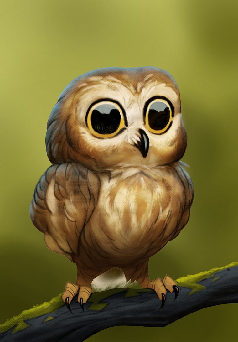 Красивые лапки животных