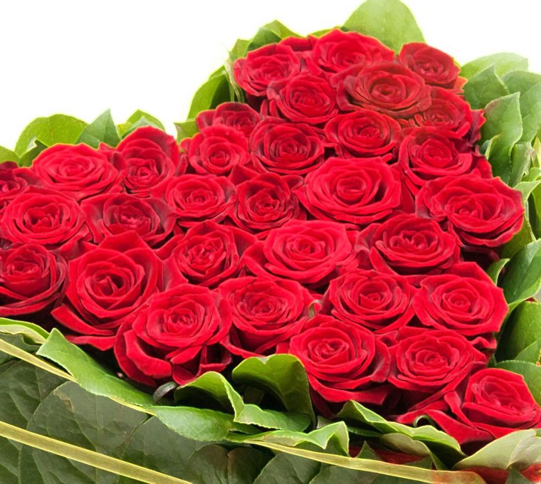 Шикарные розовые розы