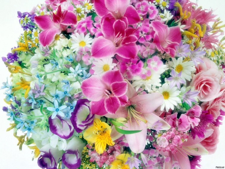 Красивый нежный букет