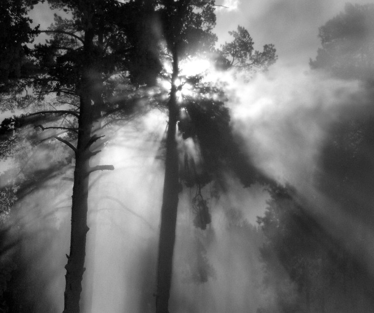 Мгла во тьме