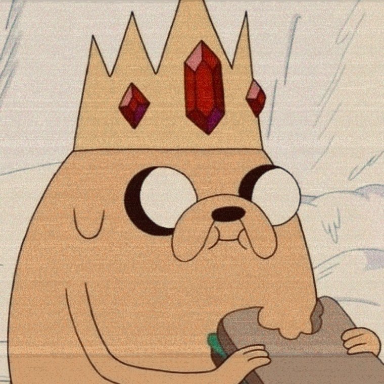 Лицо фина на весь экран