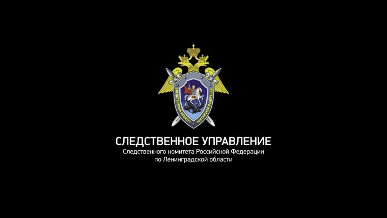 Следственный комитет