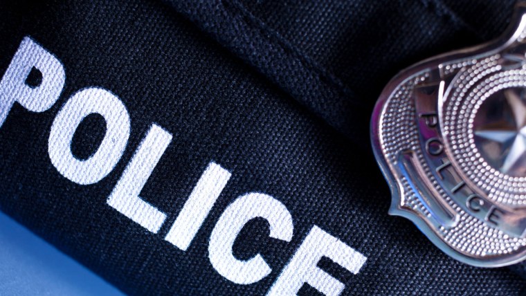 Полиция США Эстетика