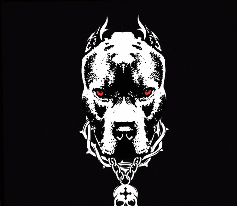 Питбуль на черном фоне