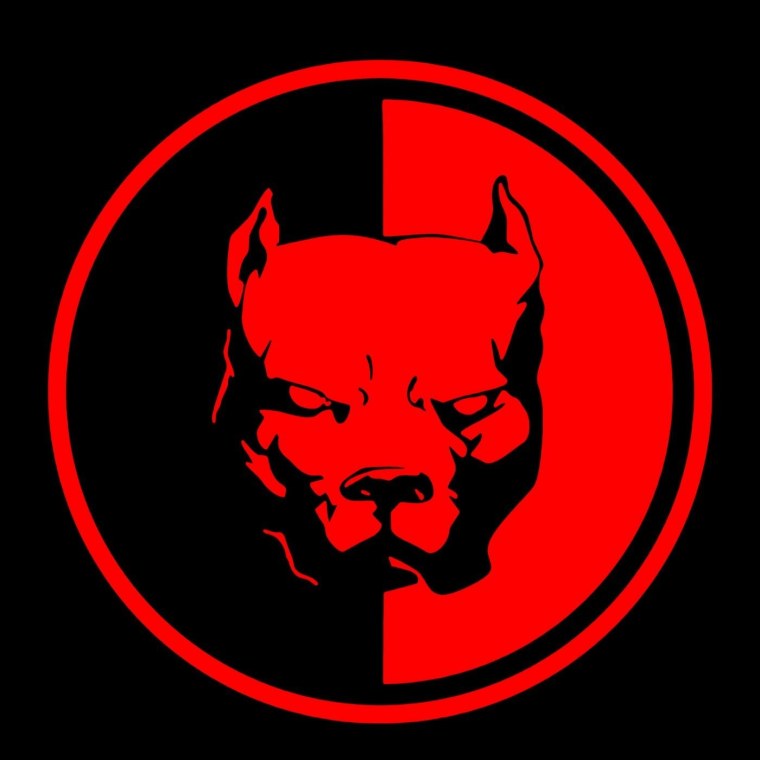 Питбуль на черном фоне