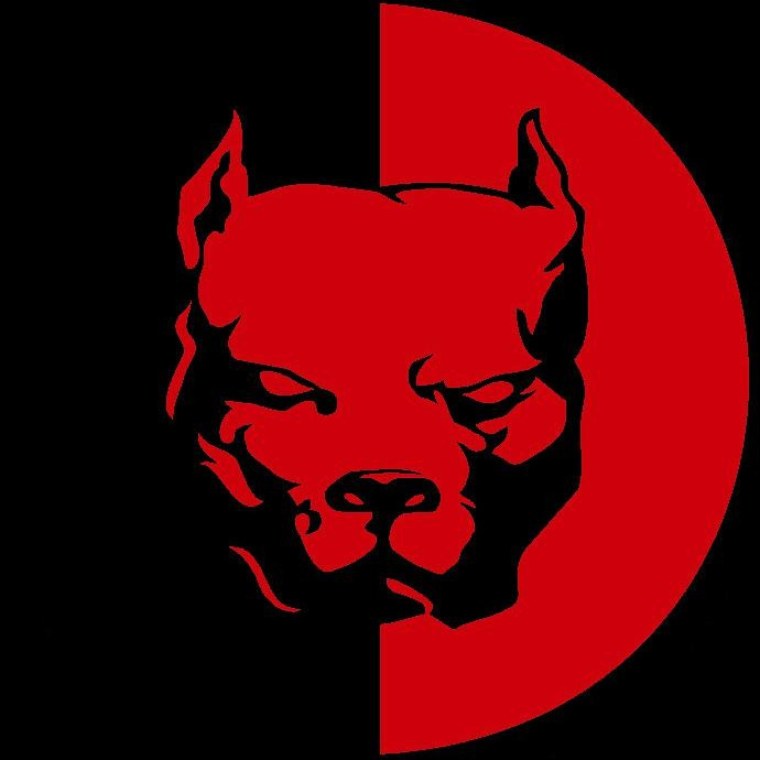 Эрик Давидыч питбуль