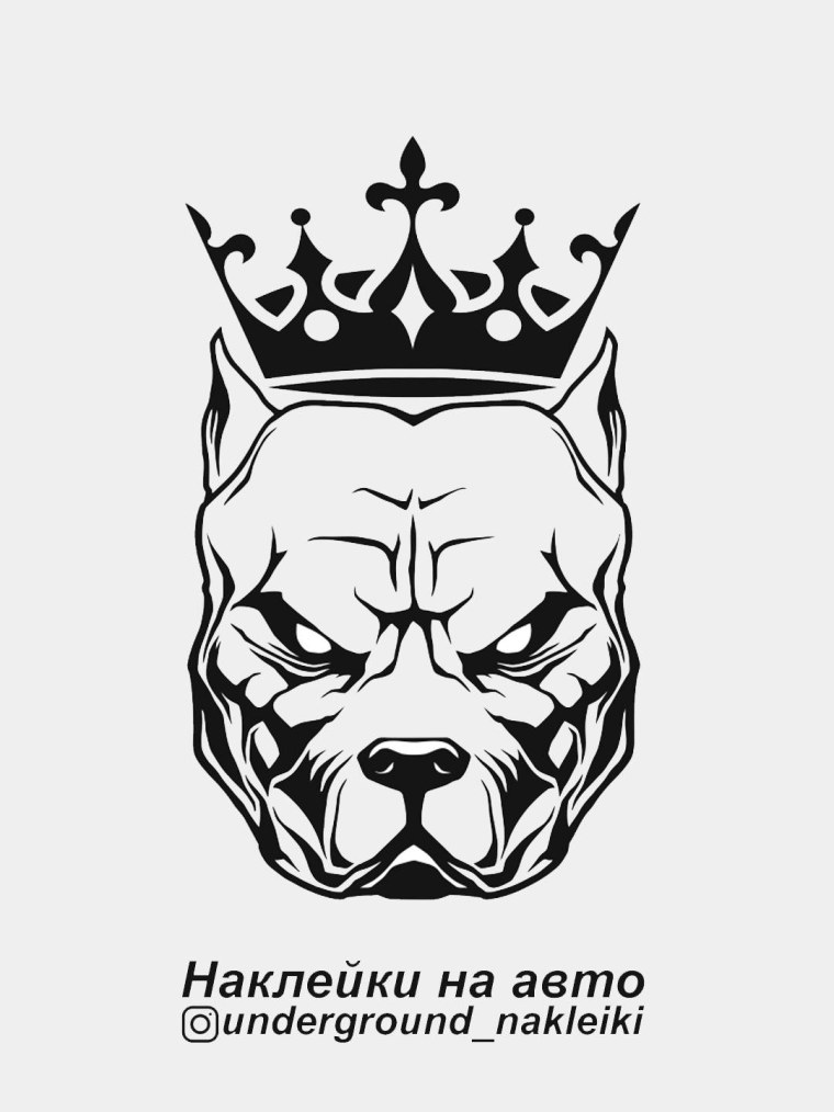 Эскизы питбуля