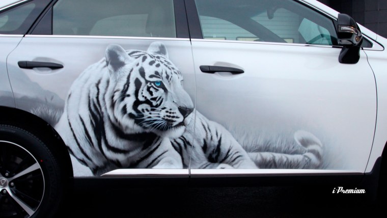 Аэрография на белой машине