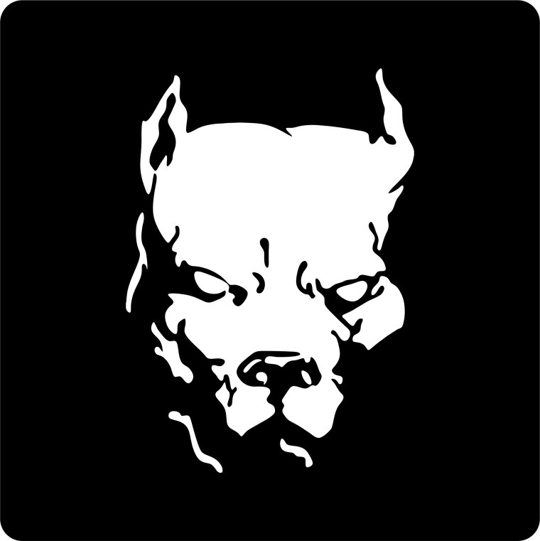 Питбуль Давидыча