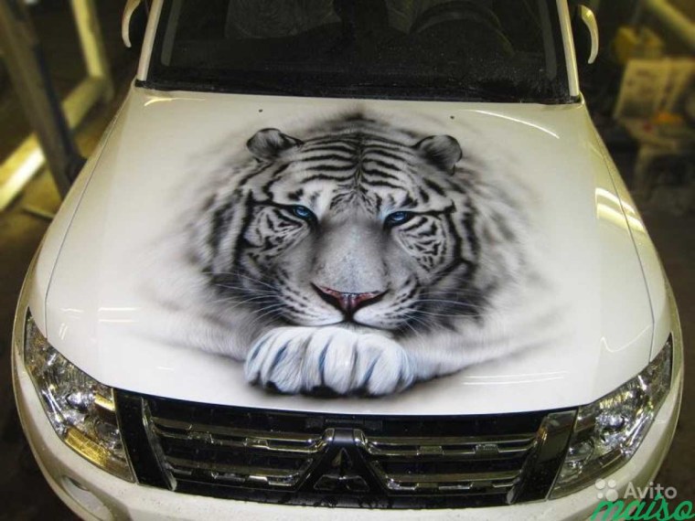 Тигр аэрографика