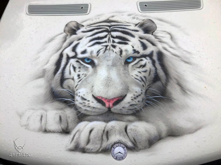 Аэрография тигр