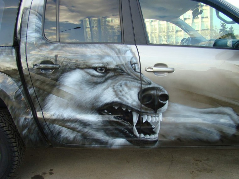 Винилография VW Amarok