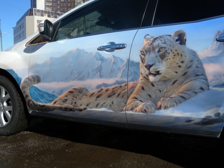 Аэрография на машину животные