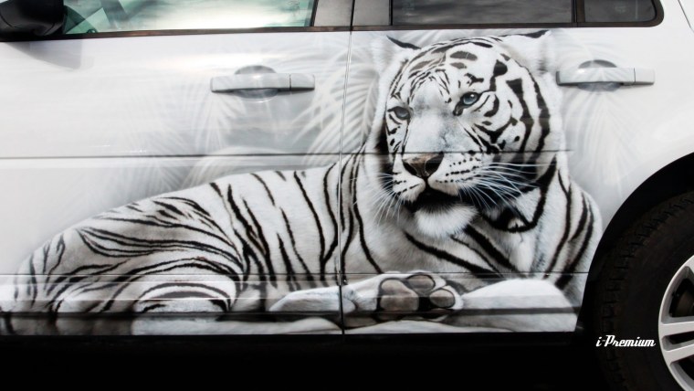 Аэрография Land Rover Freelander