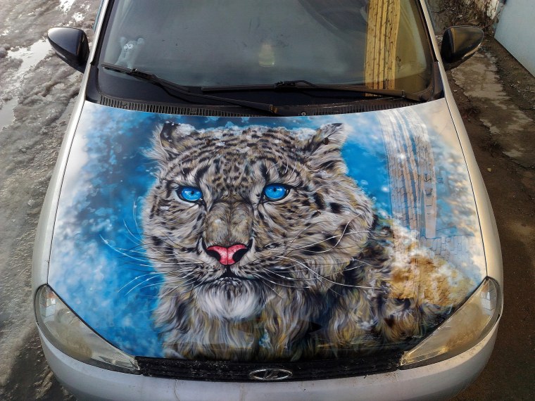 Графическая аэрография на авто