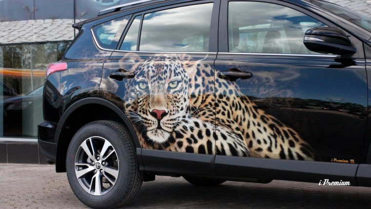 Toyota rav4 Tiger