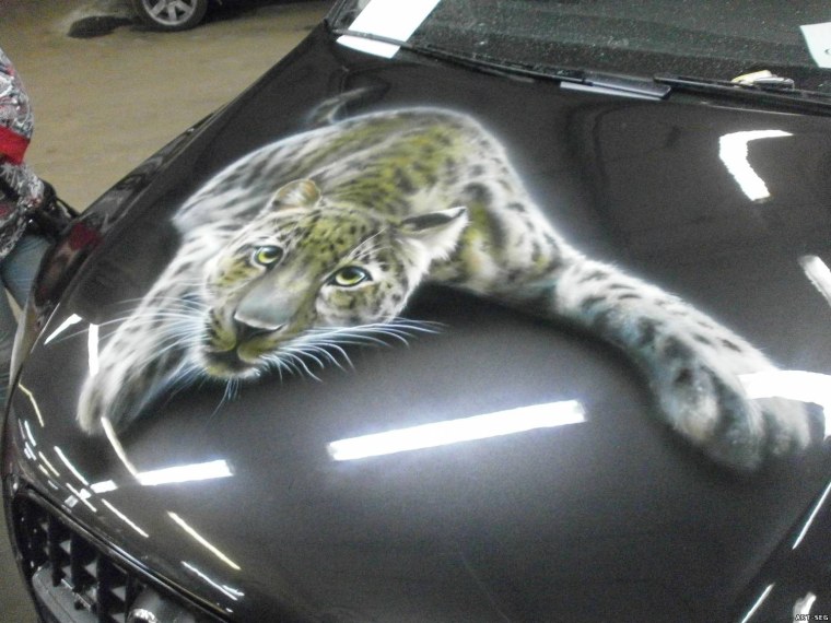 Аэрография на авто кошки