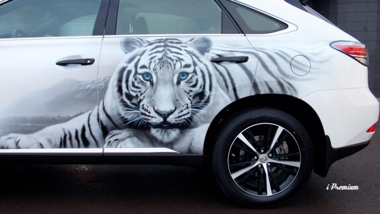 Аэрография на белом авто